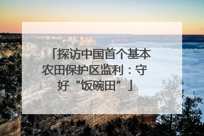 探访中国首个基本农田保护区监利：守好“饭碗田”