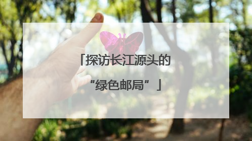 探访长江源头的“绿色邮局”
