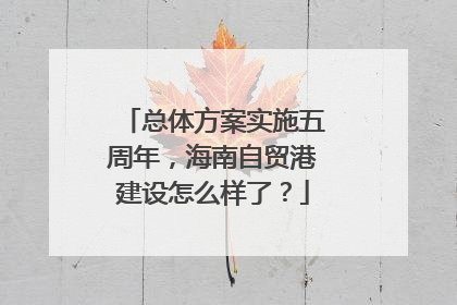 总体方案实施五周年，海南自贸港建设怎么样了？