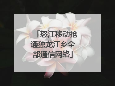 怒江移动抢通独龙江乡全部通信网络