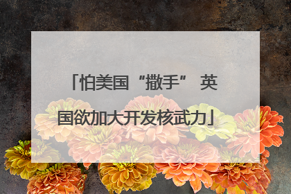 怕美国“撒手” 英国欲加大开发核武力