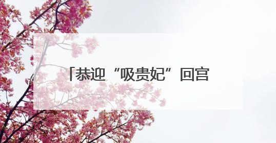 恭迎“吸贵妃”回宫，年轻人在抖音买家电能买出多少乐子？