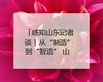 感知山东记者谈｜从“制造”到“智造” 山东技能人才引领产业升级