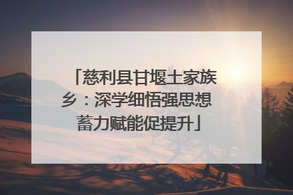 慈利县甘堰土家族乡：深学细悟强思想 蓄力赋能促提升