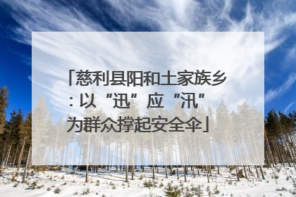 慈利县阳和土家族乡：以“迅”应“汛” 为群众撑起安全伞