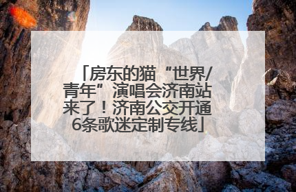 房东的猫“世界/青年”演唱会济南站来了！济南公交开通6条歌迷定制专线