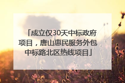 成立仅30天中标政府项目，唐山惠民服务外包中标路北区热线项目