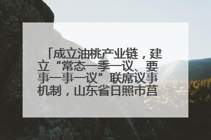 成立油桃产业链，建立“常态一季一议、要事一事一议”联席议事机制，山东省日照市莒县果庄镇——13个党小组“全周期”育果