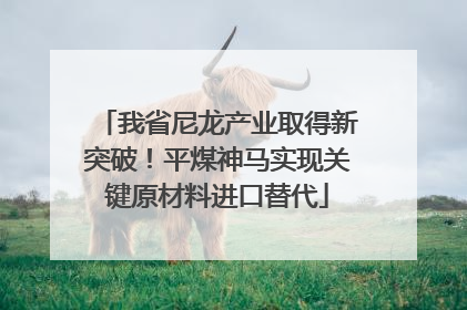 我省尼龙产业取得新突破！平煤神马实现关键原材料进口替代