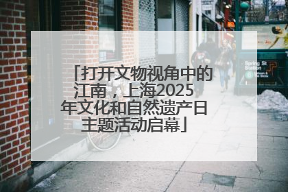 打开文物视角中的江南，上海2025年文化和自然遗产日主题活动启幕