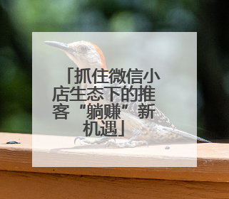抓住微信小店生态下的推客“躺赚”新机遇