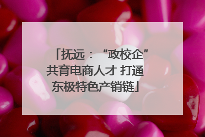 抚远：“政校企”共育电商人才 打通东极特色产销链