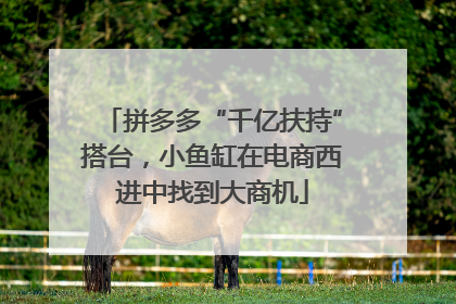 拼多多“千亿扶持”搭台，小鱼缸在电商西进中找到大商机