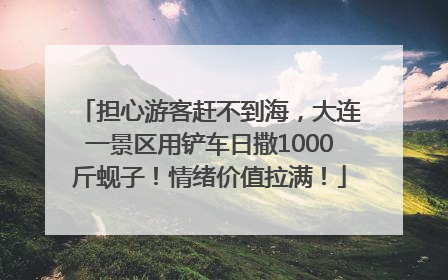 担心游客赶不到海，大连一景区用铲车日撒1000斤蚬子！情绪价值拉满！
