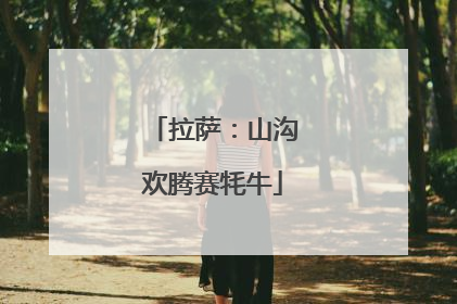 拉萨：山沟欢腾赛牦牛