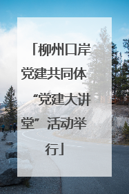 柳州口岸党建共同体“党建大讲堂”活动举行