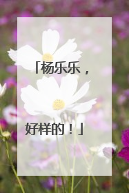 杨乐乐，好样的！