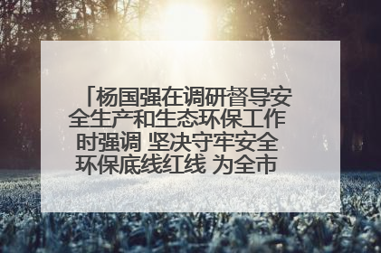 杨国强在调研督导安全生产和生态环保工作时强调 坚决守牢安全环保底线红线 为全市经济社会高质量发展提供坚强保障