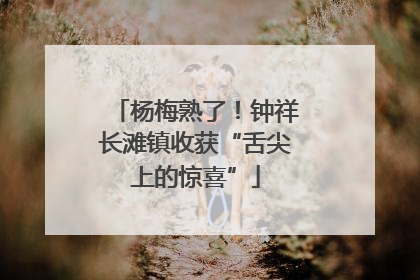 杨梅熟了！钟祥长滩镇收获“舌尖上的惊喜”