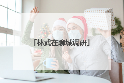 林武在聊城调研