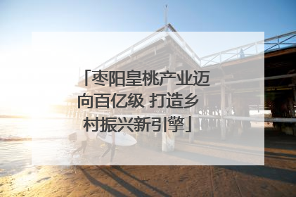 枣阳皇桃产业迈向百亿级 打造乡村振兴新引擎