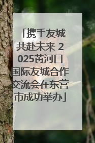 携手友城 共赴未来 2025黄河口国际友城合作交流会在东营市成功举办