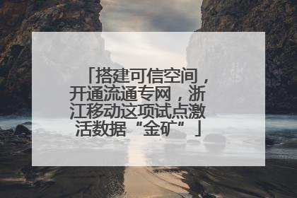 搭建可信空间，开通流通专网，浙江移动这项试点激活数据“金矿”
