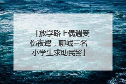 放学路上偶遇受伤夜鹭，聊城三名小学生求助民警