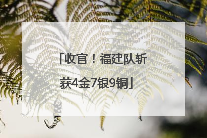 收官！福建队斩获4金7银9铜