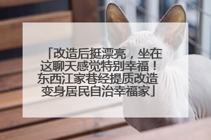 改造后挺漂亮，坐在这聊天感觉特别幸福！东西江家巷经提质改造变身居民自治幸福家