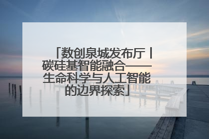 数创泉城发布厅丨碳硅基智能融合——生命科学与人工智能的边界探索