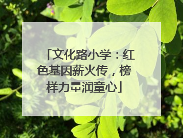 文化路小学：红色基因薪火传，榜样力量润童心