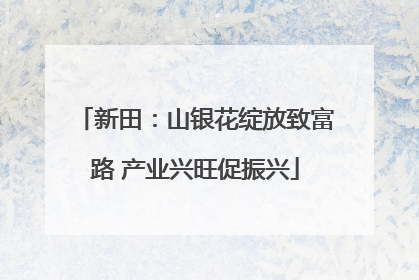 新田：山银花绽放致富路 产业兴旺促振兴