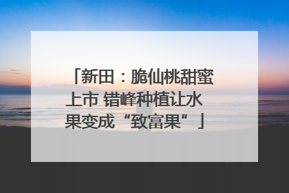 新田：脆仙桃甜蜜上市 错峰种植让水果变成“致富果”
