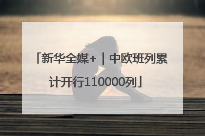 新华全媒+｜中欧班列累计开行110000列