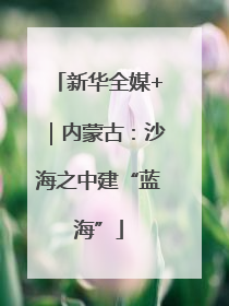 新华全媒+｜内蒙古：沙海之中建“蓝海”