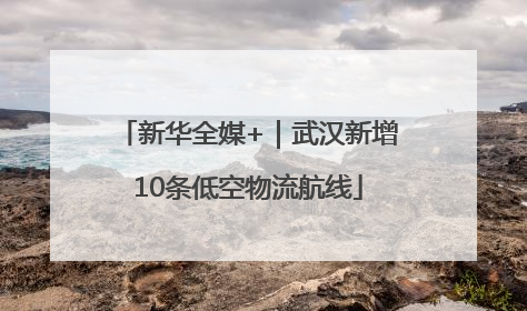 新华全媒+｜武汉新增10条低空物流航线