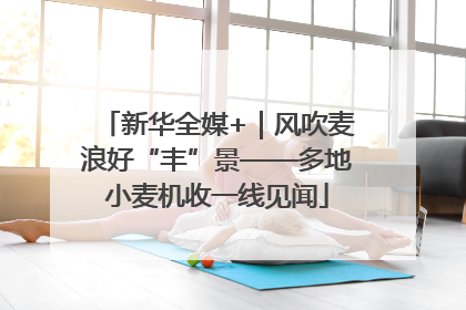 新华全媒+｜风吹麦浪好“丰”景——多地小麦机收一线见闻