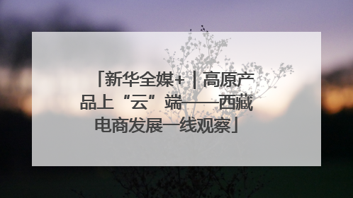 新华全媒+｜高原产品上“云”端——西藏电商发展一线观察