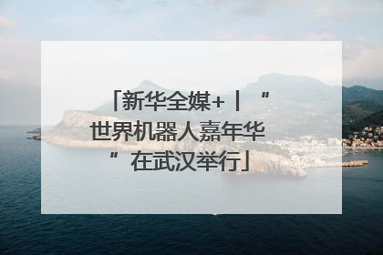 新华全媒+丨“世界机器人嘉年华”在武汉举行