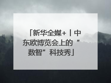 新华全媒+丨中东欧博览会上的“数智”科技秀