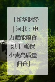 新华财经｜河北：电力赋能粮食烘干 确保小麦高质量归仓