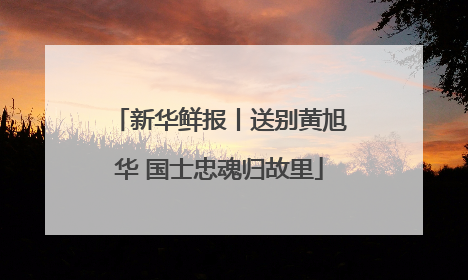 新华鲜报丨送别黄旭华 国士忠魂归故里
