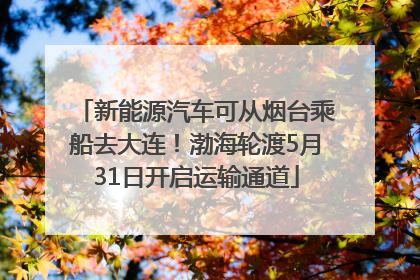 新能源汽车可从烟台乘船去大连！渤海轮渡5月31日开启运输通道