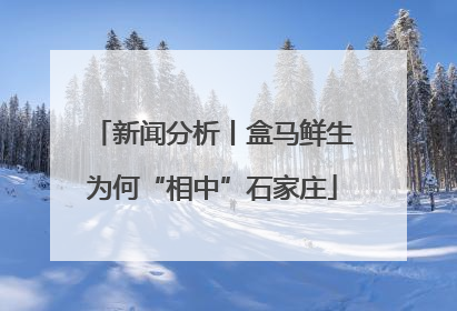 新闻分析丨盒马鲜生为何“相中”石家庄