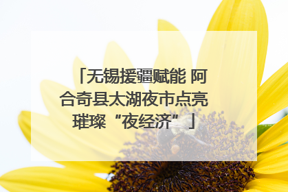 无锡援疆赋能 阿合奇县太湖夜市点亮璀璨“夜经济”