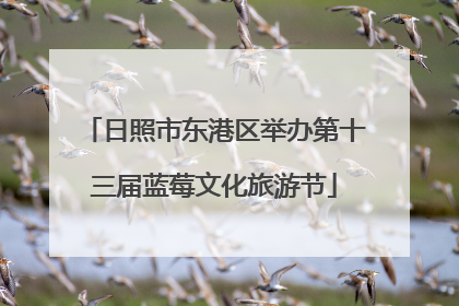 日照市东港区举办第十三届蓝莓文化旅游节