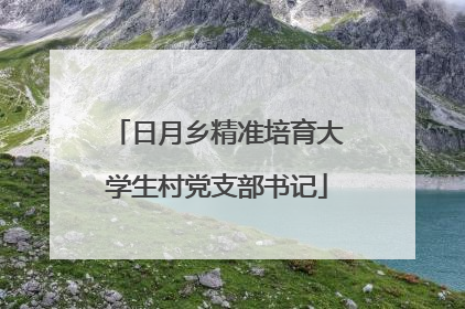 日月乡精准培育大学生村党支部书记