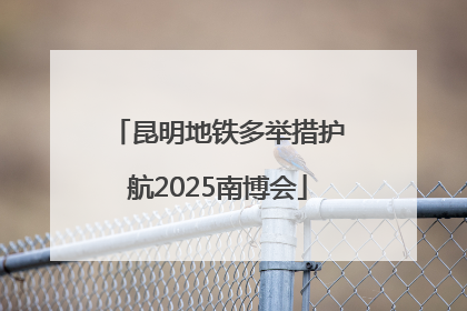 昆明地铁多举措护航2025南博会