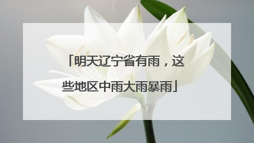明天辽宁省有雨，这些地区中雨大雨暴雨